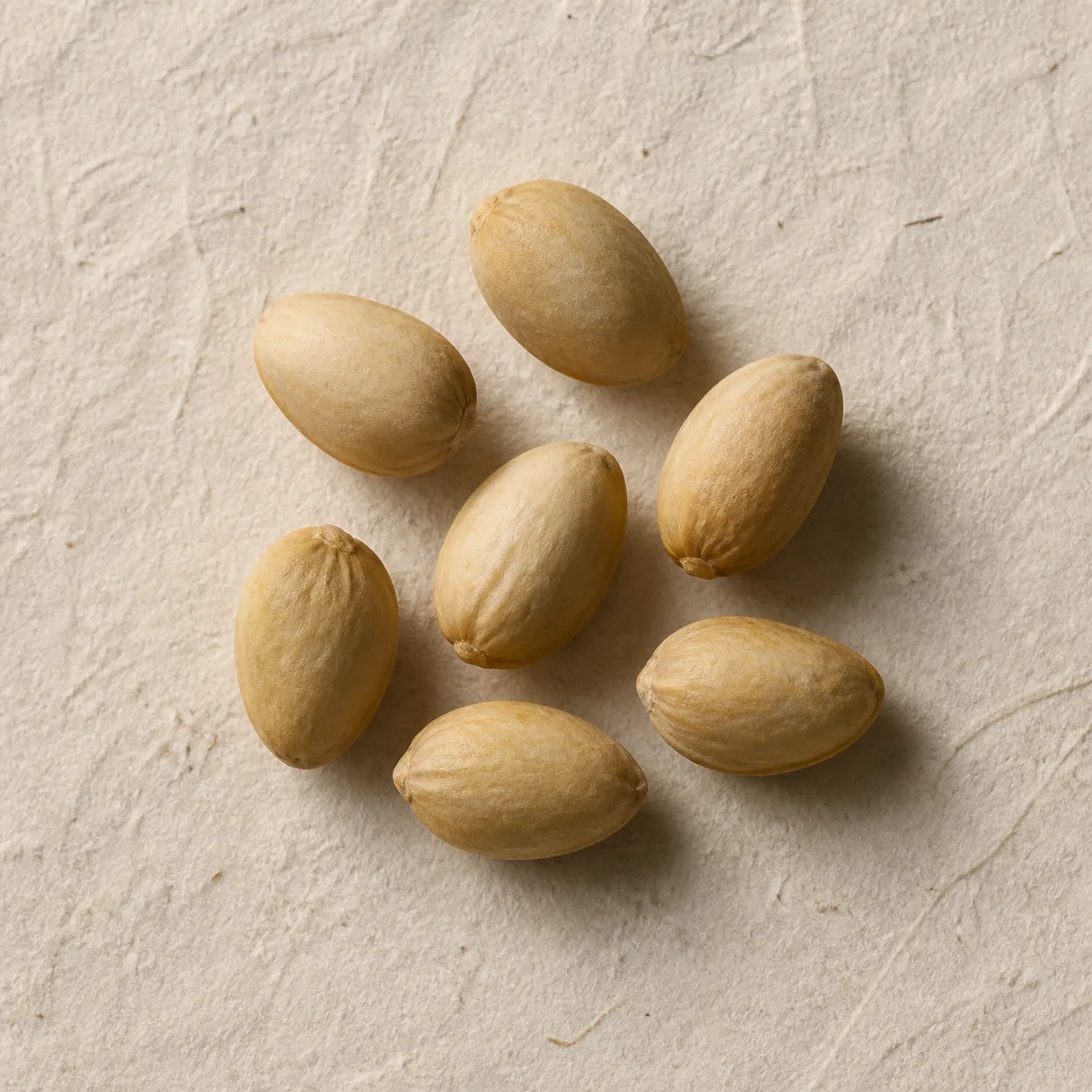 Seven closed pistachio shells on unbleached paper